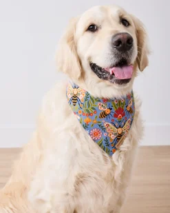 Short PJ Set & Pet Bandana in Bee Tapestry
