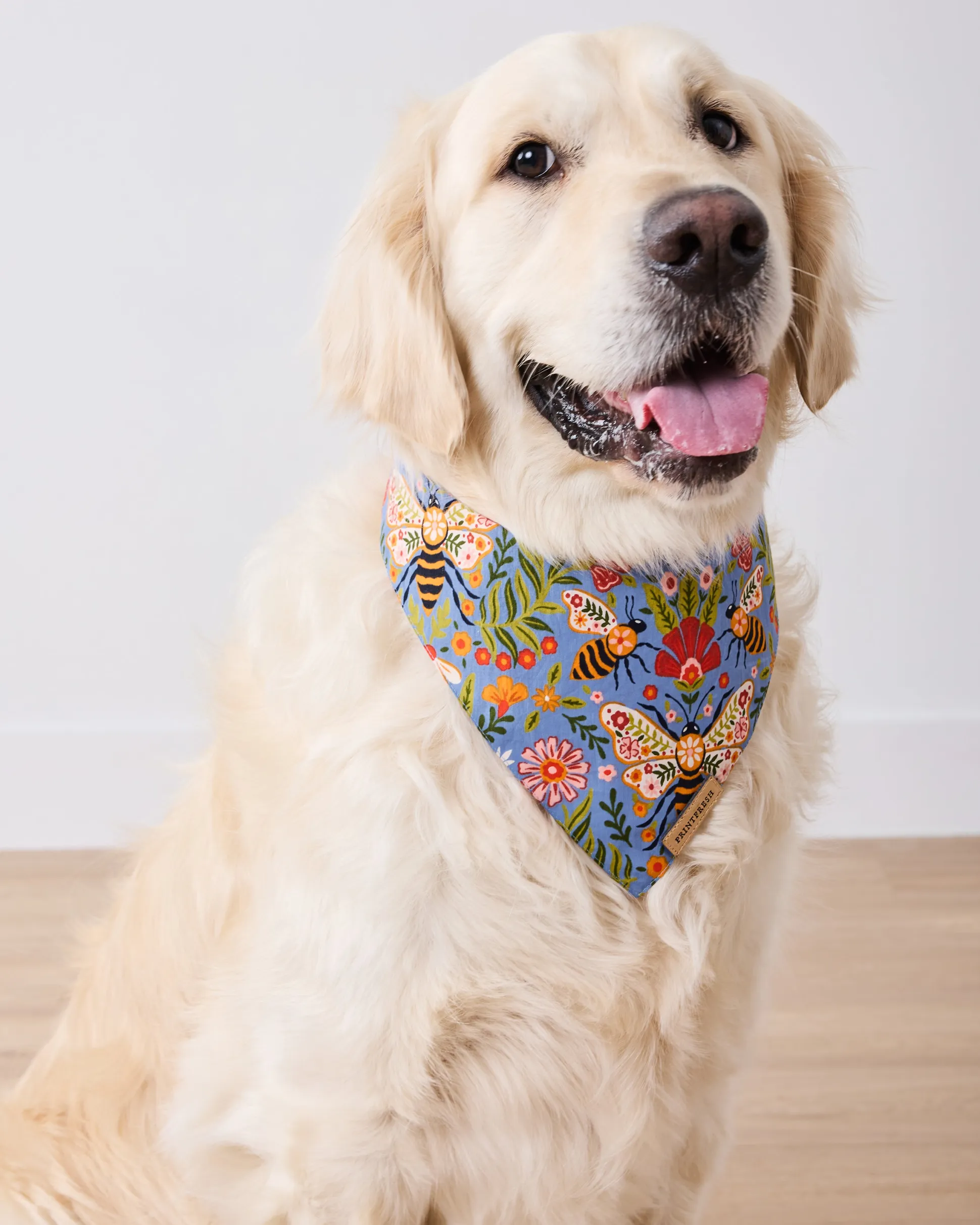Short PJ Set & Pet Bandana in Bee Tapestry