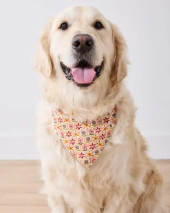 Short PJ Set & Pet Bandana in Bee Tapestry