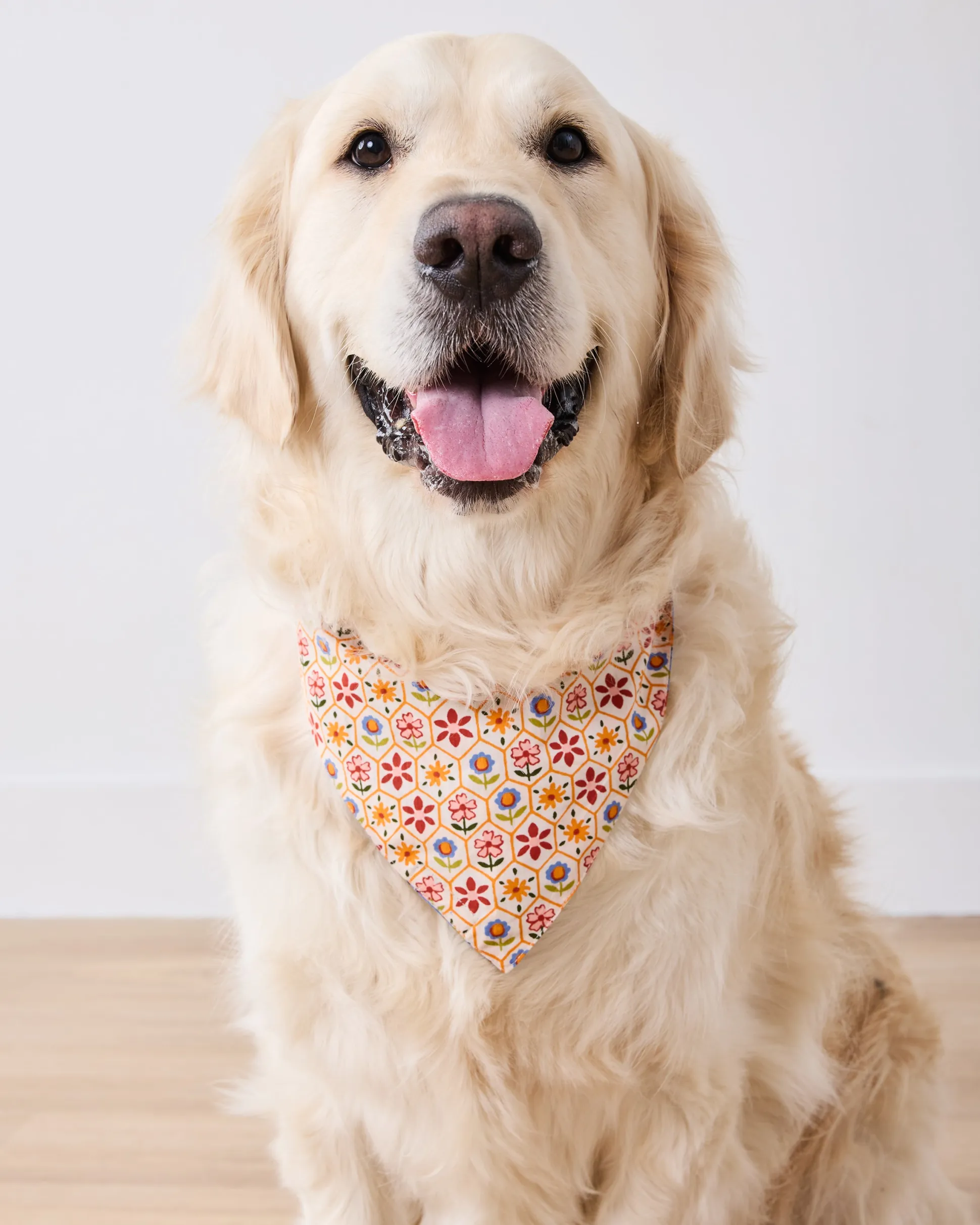 Short PJ Set & Pet Bandana in Bee Tapestry