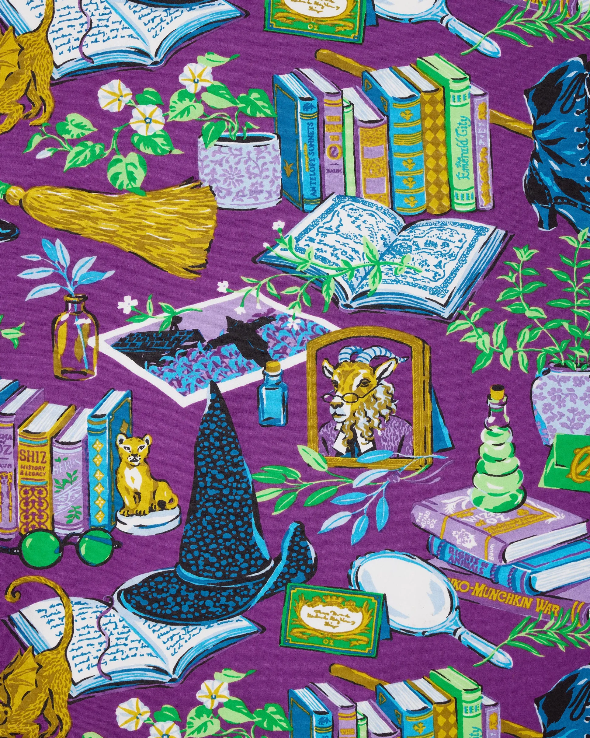 Tall Long PJ Set in Elphaba's Alchemy