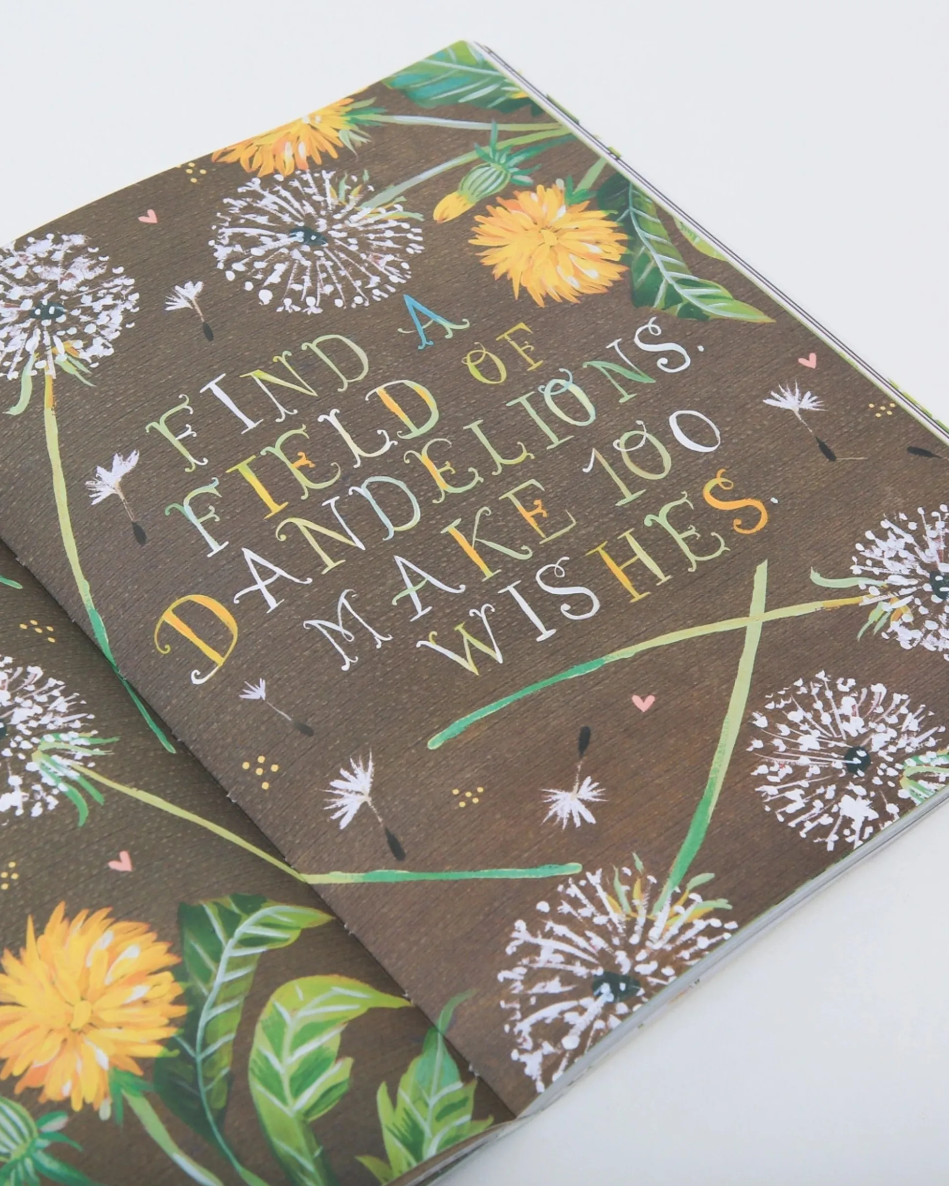 The Wildflower's Workbook in Multi