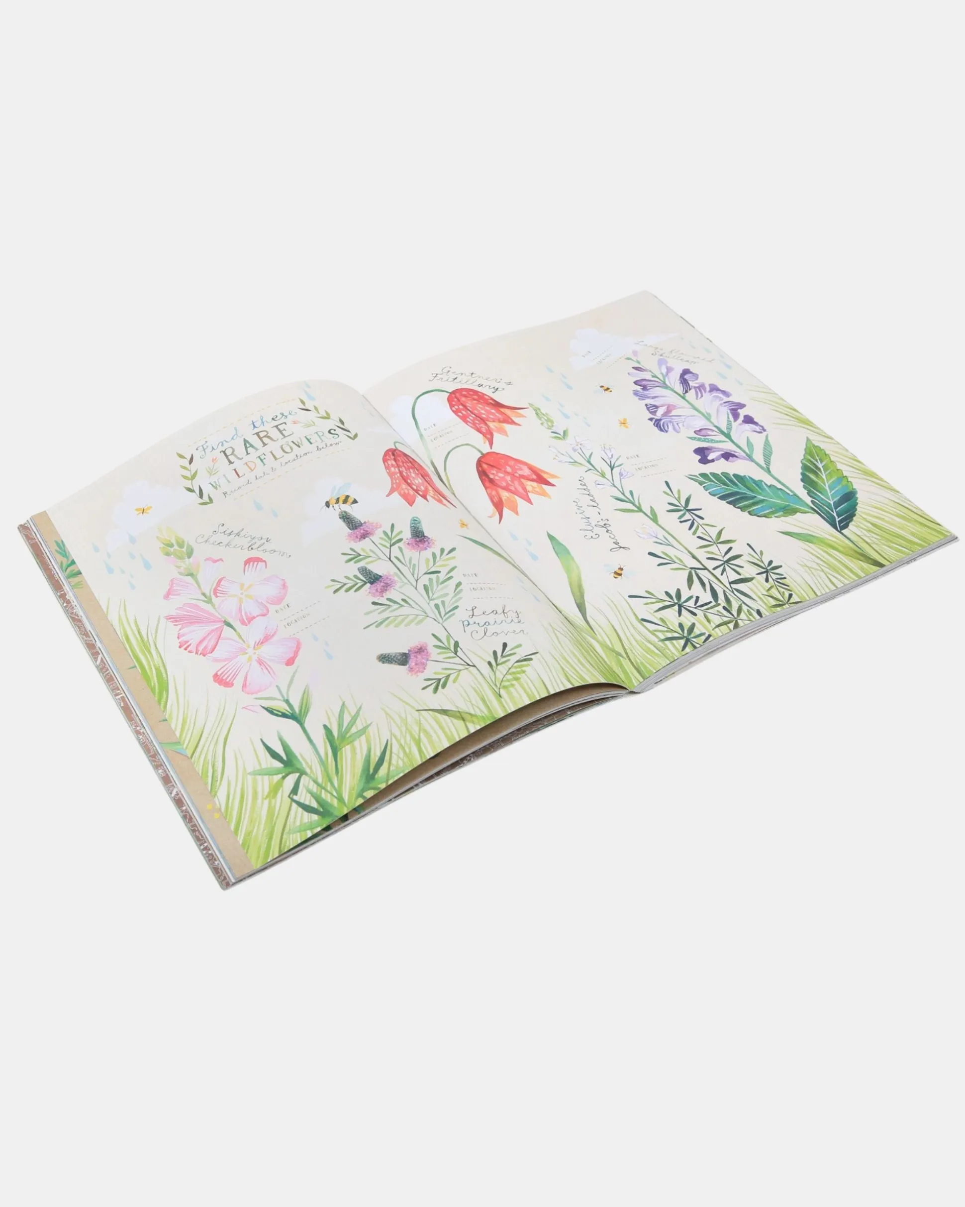 The Wildflower's Workbook in Multi